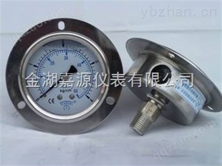YN-150ZT耐震压力表生产厂家
