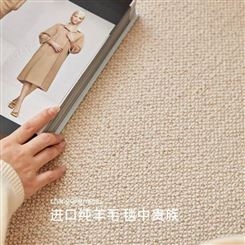 进口新西兰纯色羊毛肌理感地毯极简轻奢简约加厚耐脏易打理地垫