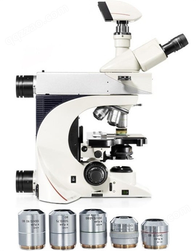 通过高质量的显微镜物镜看到明亮的图像.jpg
