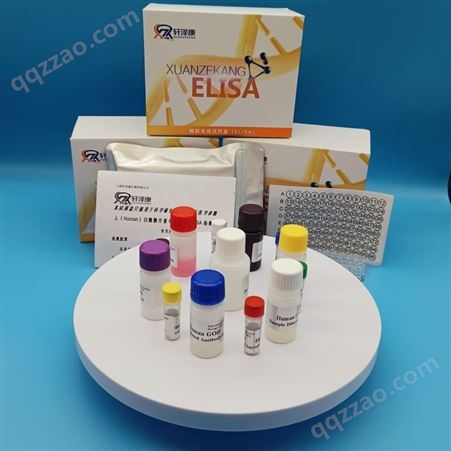 国产白介素检测试剂盒价格