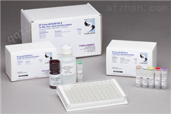 人激活素A（Activin A）检测试剂盒