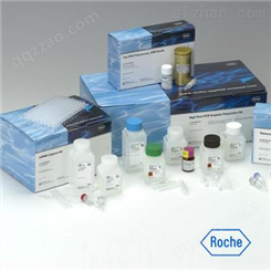 人可溶性CD30配体（sCD30L）ELISA试剂盒