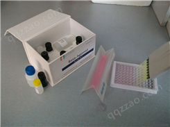 人柯萨奇病毒IgM（Cox V-IgM）ELISA试剂盒