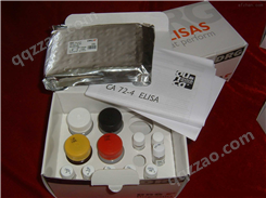 小鼠横纹肌辅肌动蛋白α （sm Actinin-α）ELISA试剂盒
